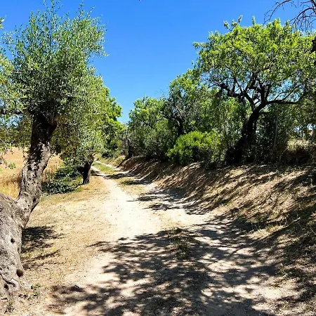 La Noguera Rural Valls